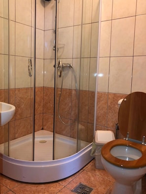 A bathroom with a glass-enclosed shower, a white sink, and a wooden toilet. - Complex Turistic Alpina Blazna (Sant)