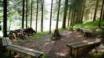 Terrein van de accommodatie