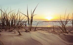Plage à proximité