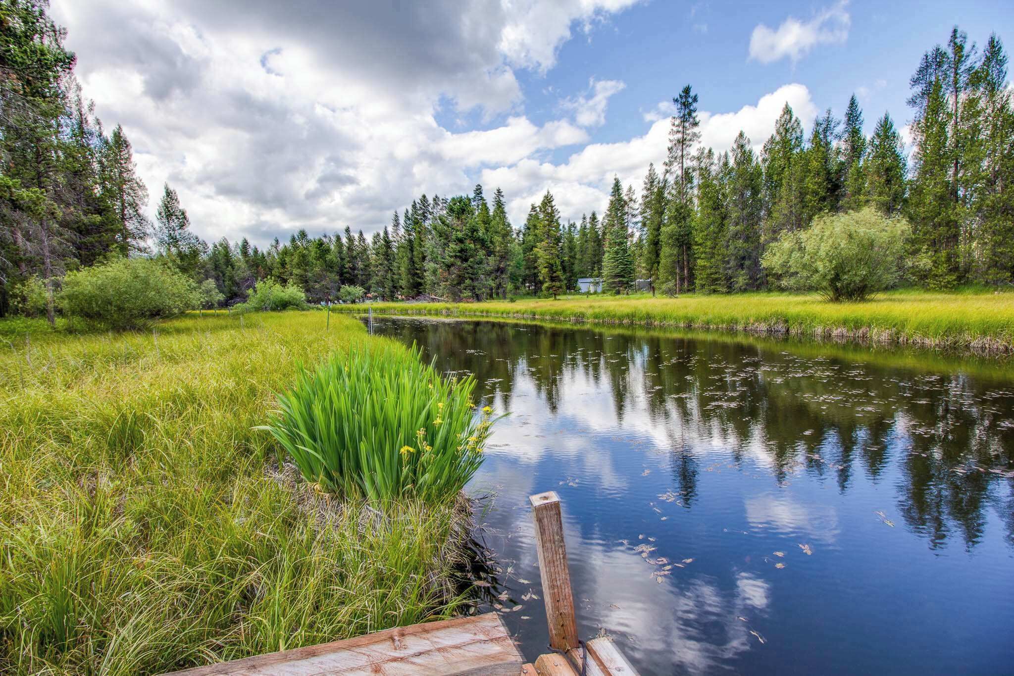 A serene lakeside view with a wooden dock extending into the water, surrounded by lush greenery and tall trees.