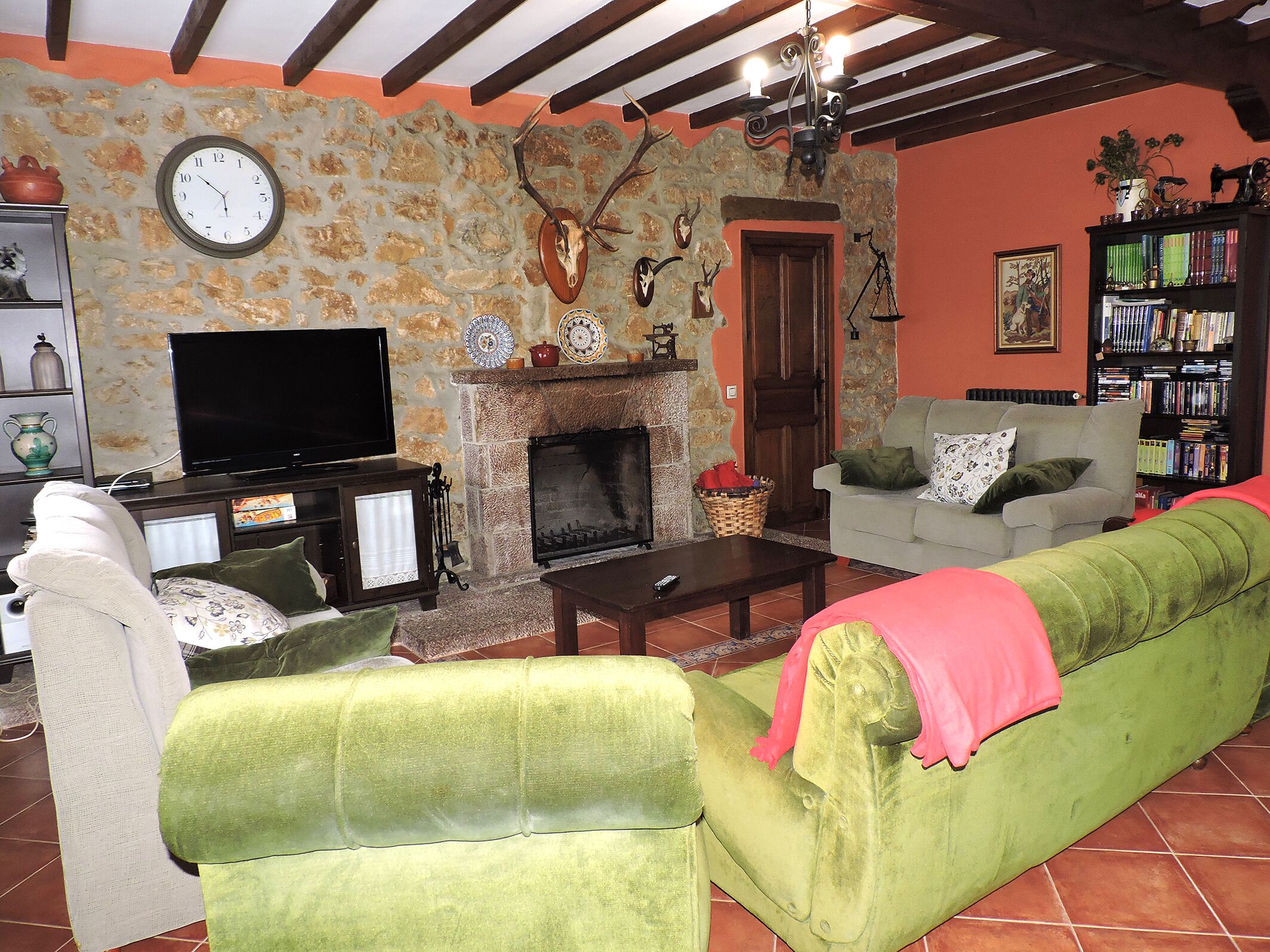 Televisie, een open haard en boeken