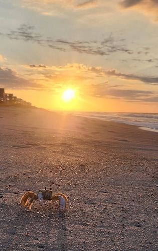 OCEANFRONT ! Family fun steps from the beach!😎🦀 pet friendly, linens included!