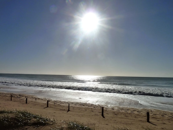 Beach nearby, sun-loungers - Charming family house in a south walled closed garden, 2 bicycles (Sainte-Marie-de-Ré)