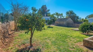 Um pátio ensolarado com uma parede de pedra, uma árvore com frutos laranja e um edifício com telhado de azulejos.
