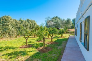 Property grounds - LAS PIEDRAS - Chalet with terrace in Llucmajor. Free WiFi (Llucmajor)