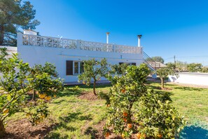 Àrea exterior de l'allotjament