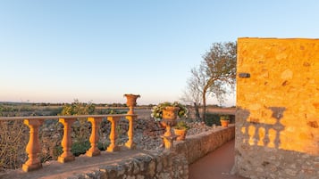 Terras