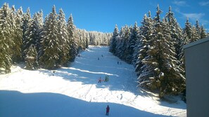 Deportes de invierno y ski