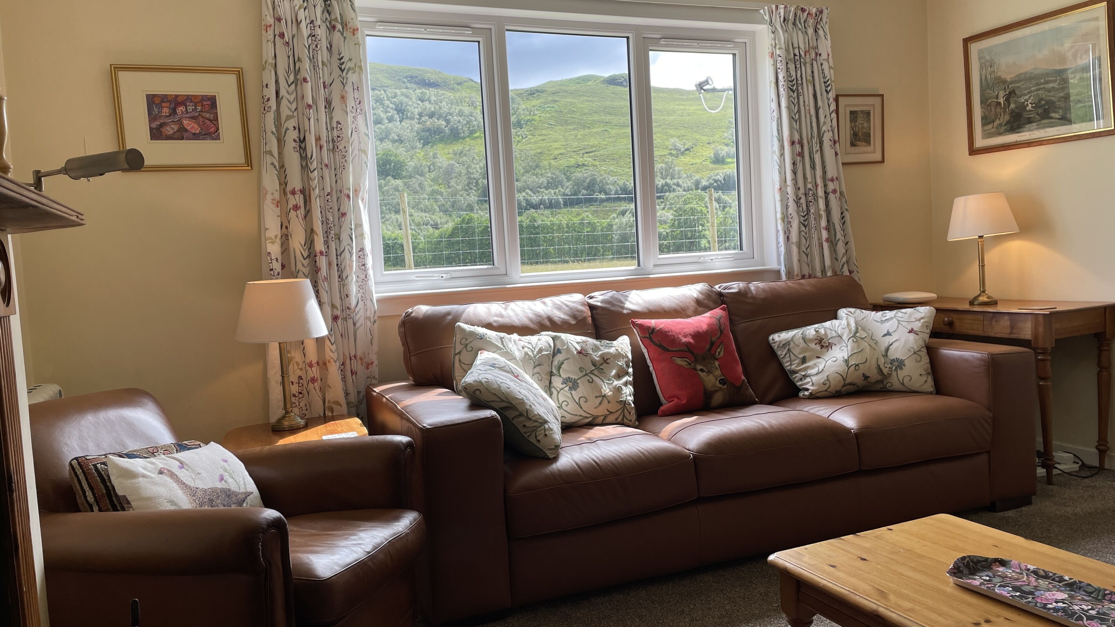 Televisión, reproductor de DVD y libros 