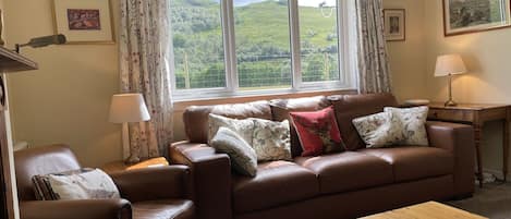 Téléviseur, lecteur de DVD, livres