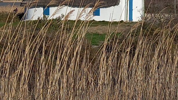 Ein weißes Haus mit dunklem Dach, blauer Tür und einem kleinen Rundfenster.