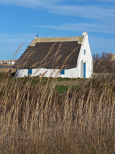 --- Beautiful fully equipped apartment --- 