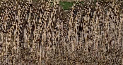 --- Beautiful fully equipped apartment ---