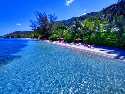 THE GUANAJA ROOM B & B PACKAGE IN A BEACHFRONT CARIBBEAN BOUTIQUE RESORT