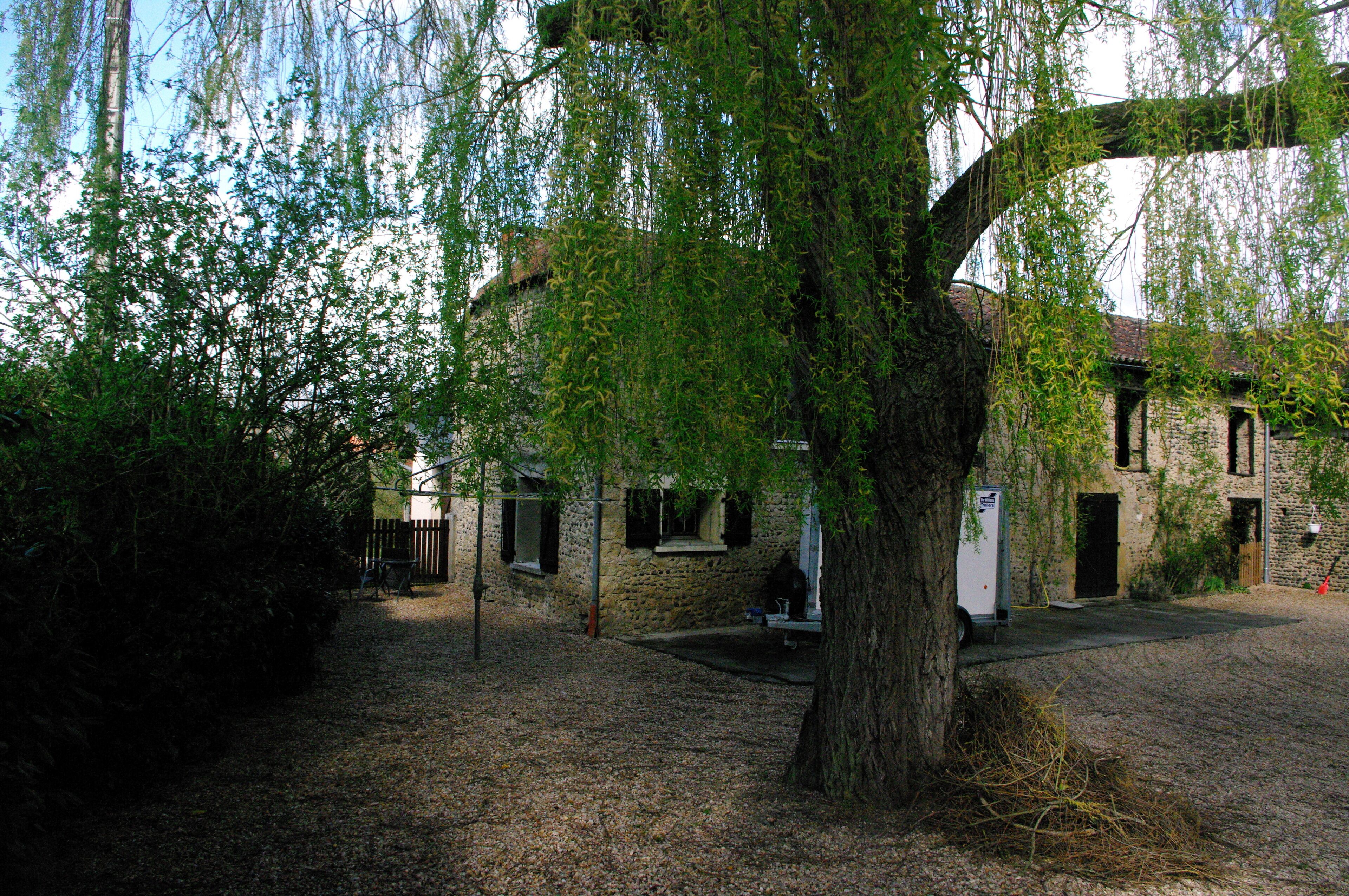 A rustic stone building with a large tree in front, a gravel path, and a small bench.