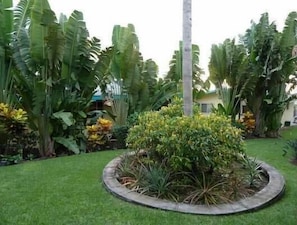 Property grounds - Guest house on gated acre estate, Sleeps up to 7; Great for Events, too (Kailua-Kona)