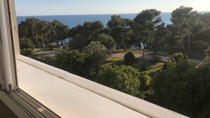 A view from a window overlooking a coastal landscape with dense trees and a clear sky. - T1 34m2 5 people Residence Athena Bandol sea view (Bandol)