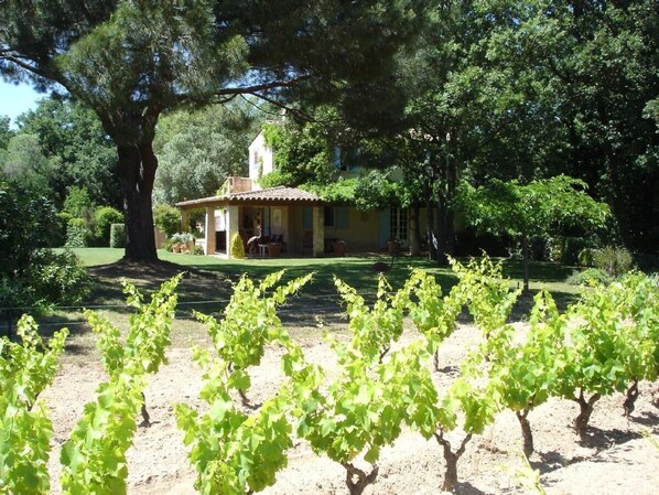 A vineyard with rows of grapevines in the foreground. In the background, there is a building with a tiled roof and a bell tower. - Idyllic St Tropez location with pool. Tranquil setting close to all the action. (Ramatuelle)