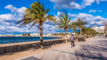Una spiaggia nelle vicinanze