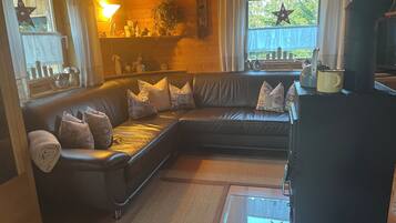 Télévision, cheminée, lecteur de DVD, livres