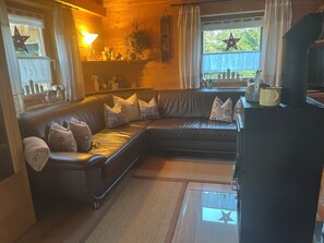 TV, fireplace, DVD player, books