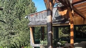 Puinen terassi, jossa on pergola, ja sen ympärillä on rehevää kasvillisuutta ja suuri puu.