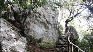 Un espace naturel rocheux, agrémenté d’une clôture en bois et d’un arbre.