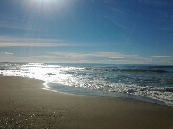 Playa en los alrededores 