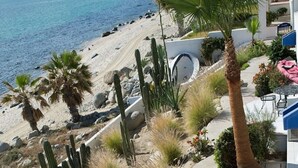 A landscaped garden with cacti, palm trees, and a curved pathway leading to a beach. - Tranquil and Relaxing Beachfront Condo with Exceptional Views! (Los Barriles)