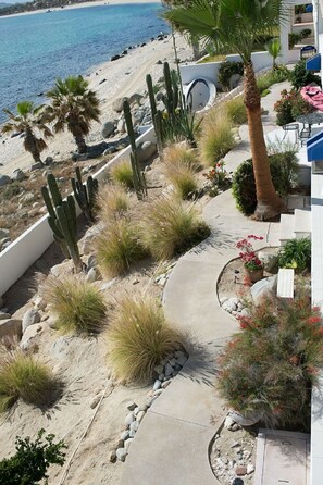 Property grounds - Tranquil and Relaxing Beachfront Condo with Exceptional Views! (Los Barriles)