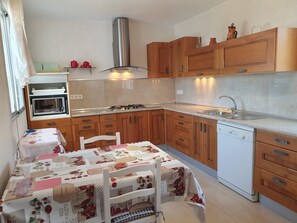 Fridge, microwave, stovetop, dishwasher
