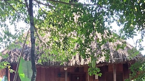 A rustic wooden building with a thatched roof, a stone pathway leading to the entrance, and a wooden fence surrounding the property. - Hotel Nueva Alianza (Ocosingo)