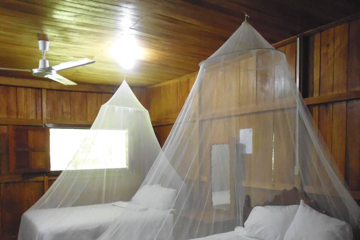 Two beds with mosquito netting, wooden walls, a ceiling fan, and a window with natural light.