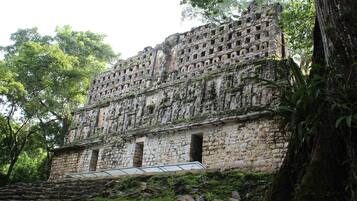 A stone building with multiple levels and windows, surrounded by trees and vegetation.