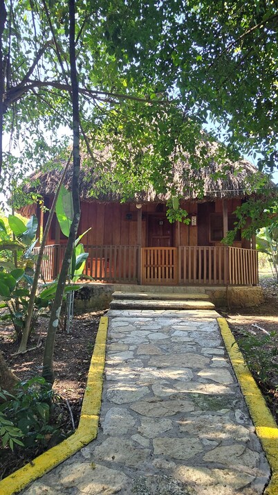 Hotel Nueva Alianza
