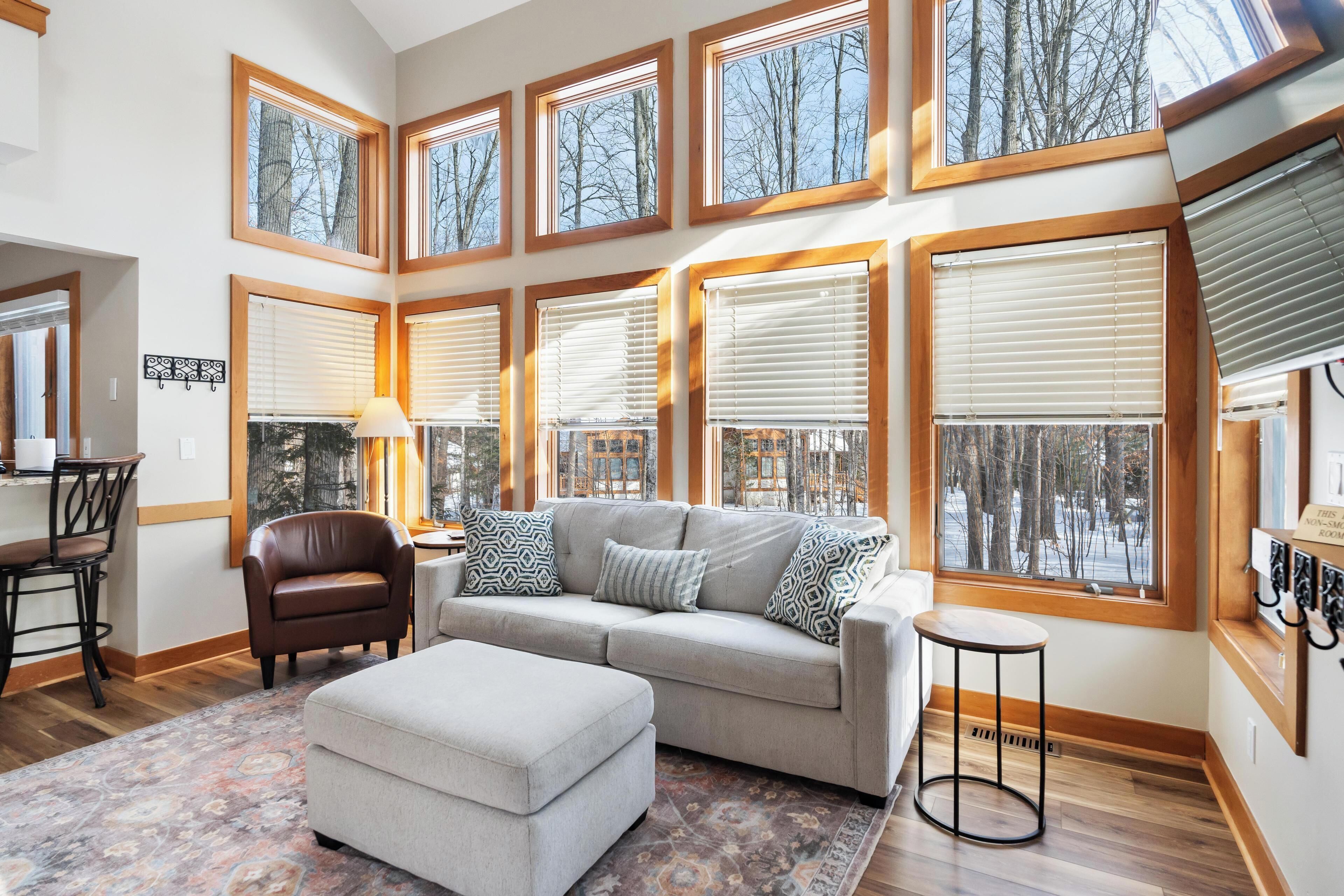 Televisor, llar de foc i reproductor de DVD 