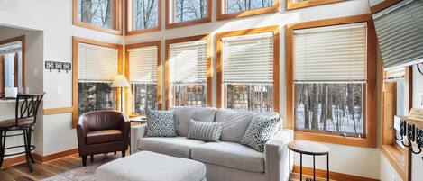 Televisor, llar de foc i reproductor de DVD