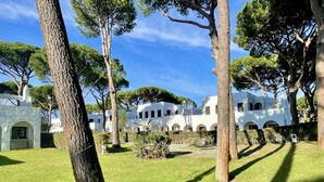 Une cour bordée de bâtiments blancs, d’arbres et surplombée d’un ciel dégagé.
