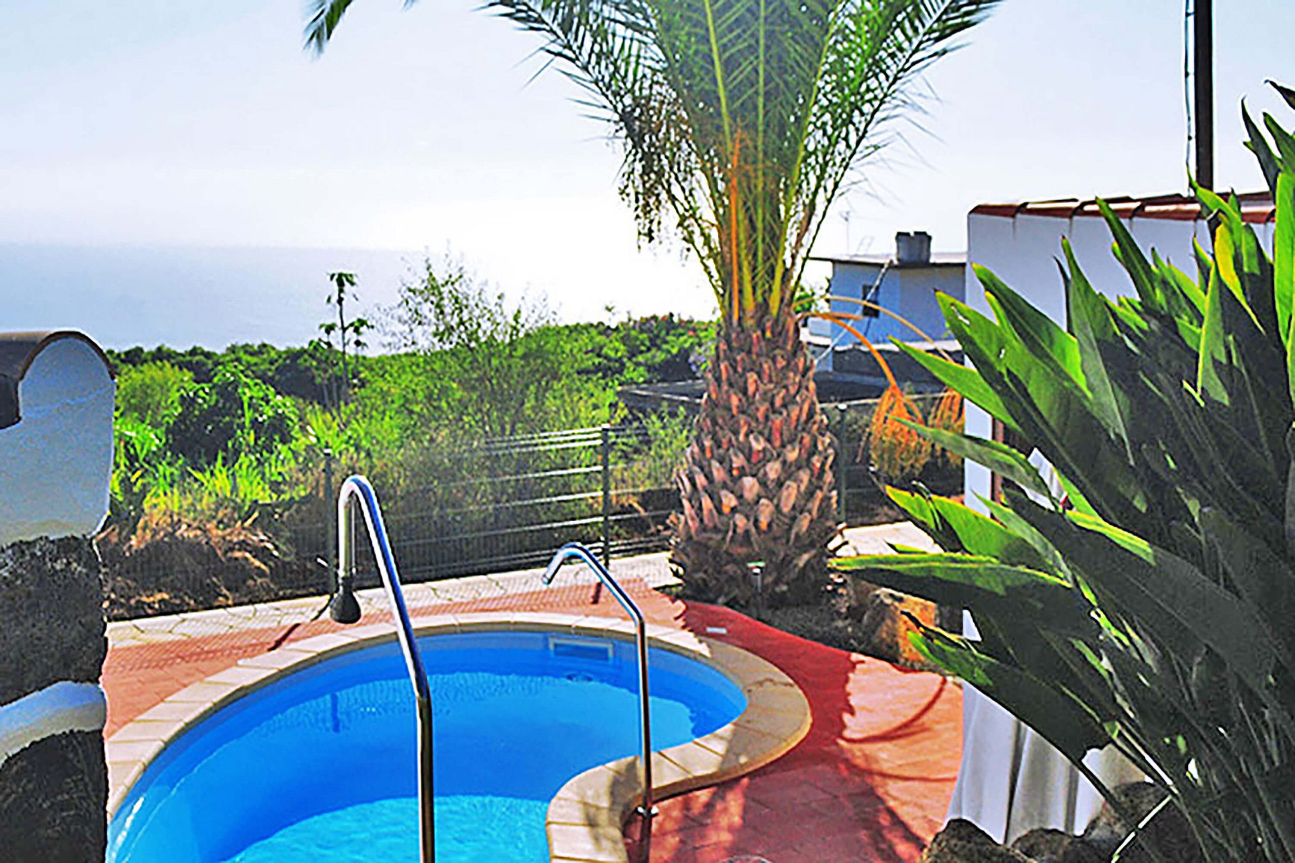 A swimming pool with a palm tree and a view of the ocean.