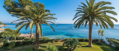 A coastal landscape with palm trees and a clear view of the sea.
