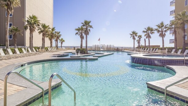 A large, curved swimming pool with multiple lanes, surrounded by palm trees and lounge chairs.