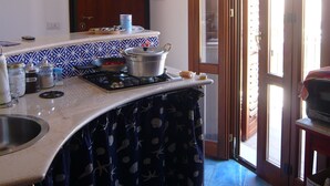 A kitchen with a stove, sink, and a potted plant hanging from the ceiling.