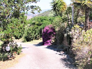 Àrea exterior de l'allotjament