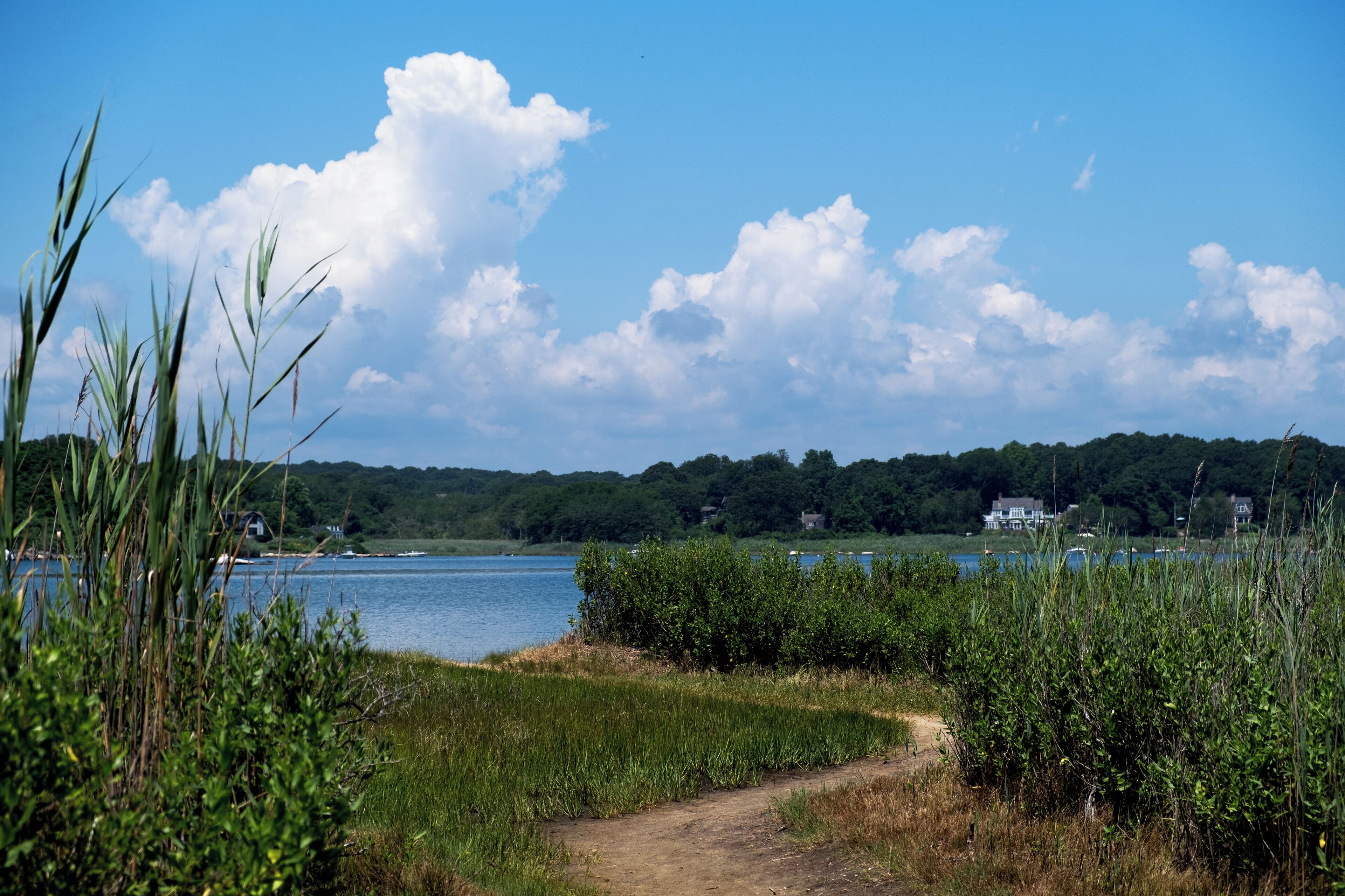 private beach nearby, free beach shuttle