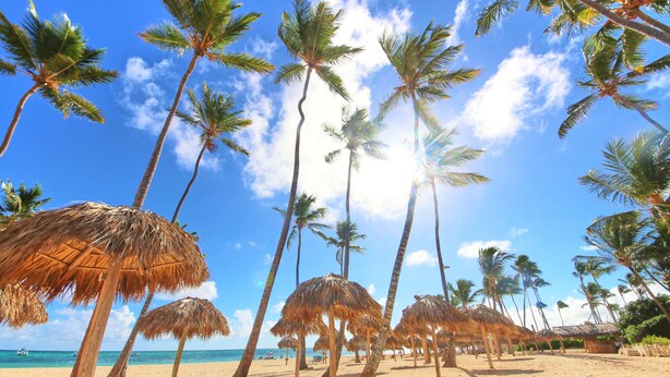 A beach with palm trees and thatched umbrellas.