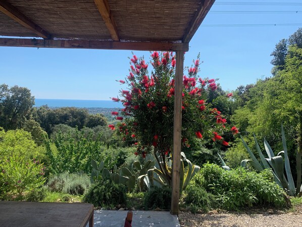 Property grounds - FASCINATING COUNTRY HOUSE IN THE COUNTRYSIDE SEA VIEW (Pietrasanta)