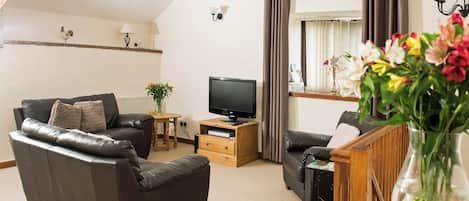 Fernseher