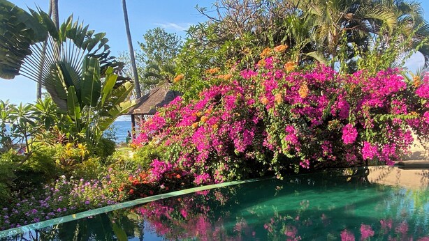 En pool omgivet af blomstrende pink og orange blomster, med et klart spejlbillede i vandet og frodige tropiske planter.