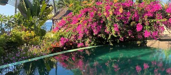 Your dream villa on northern coast of Bali