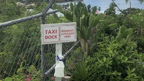 Señal que indica una zona de parada de taxis y desinfección de equipaje, rodeada de abundante vegetación y con vistas a la costa.